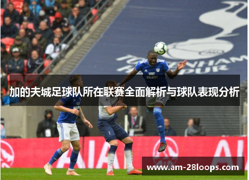 加的夫城足球队所在联赛全面解析与球队表现分析 加的夫城足球队所在联赛全面解析与球队表现分析