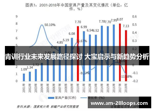 青训行业未来发展路径探讨 大宝启示与新趋势分析 青训行业未来发展路径探讨 大宝启示与新趋势分析