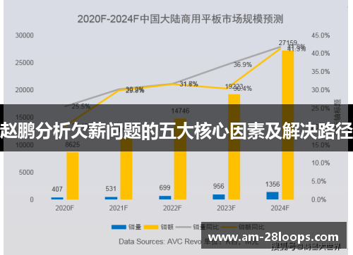 赵鹏分析欠薪问题的五大核心因素及解决路径