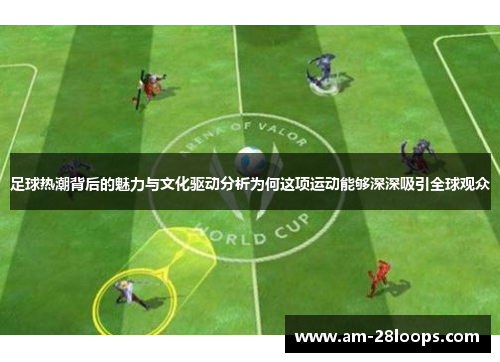 足球热潮背后的魅力与文化驱动分析为何这项运动能够深深吸引全球观众
