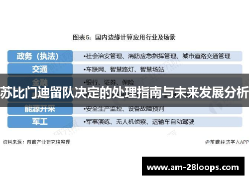 苏比门迪留队决定的处理指南与未来发展分析 苏比门迪留队决定的处理指南与未来发展分析