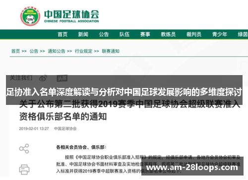 足协准入名单深度解读与分析对中国足球发展影响的多维度探讨