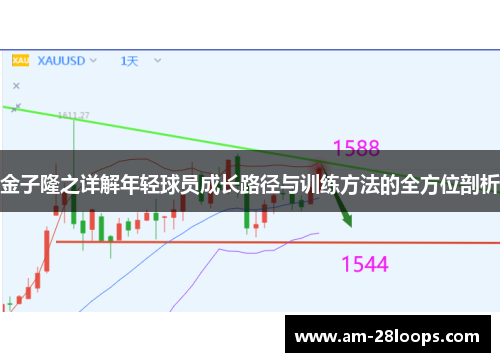 金子隆之详解年轻球员成长路径与训练方法的全方位剖析