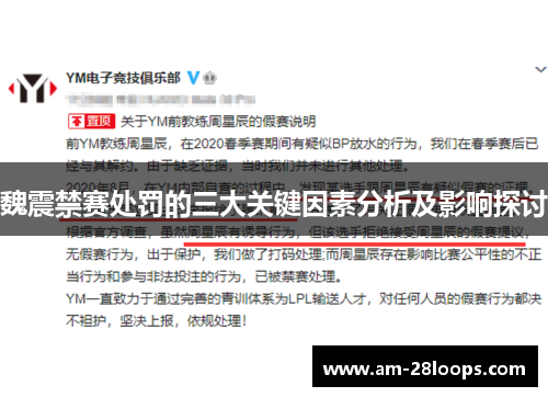 魏震禁赛处罚的三大关键因素分析及影响探讨