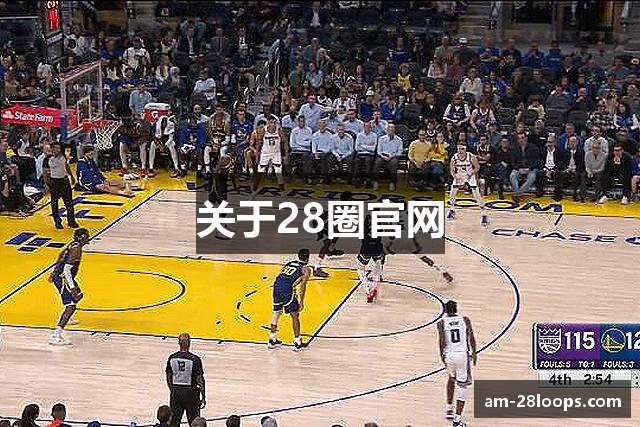 关于28圈官网